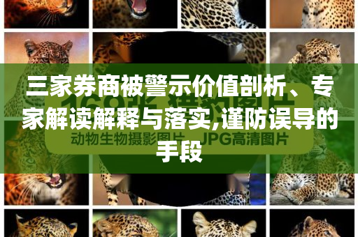 三家券商被警示價值剖析、專家解讀解釋與落實,謹防誤導的手段