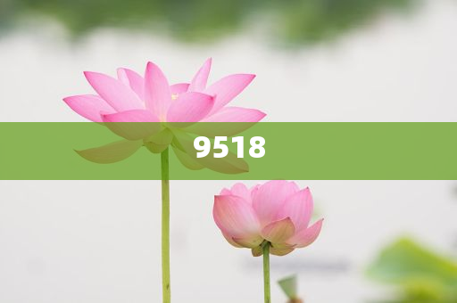 下周A股解禁市值逾300億元,識別虛假的面具-規范釋義、解釋與落實
