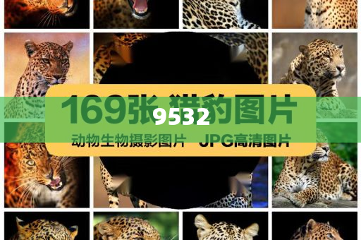 揭開:2025澳門掛牌正版掛牌完整和新奧2025資料大全最新版本和謹防虛假包裝-深入解答、專家解析解釋與落實?