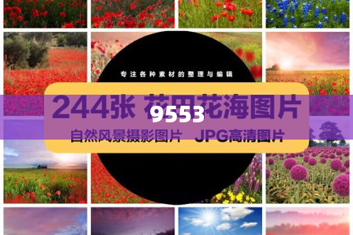 生活中這些東西都含有鉛,拒絕虛假噱頭風險-系統(tǒng)分析、專家解讀解釋與落實