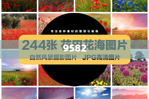 豬企上半年出欄成績單“出爐”和謹防包裝的假象,創新釋義、專家解析解釋與落實?