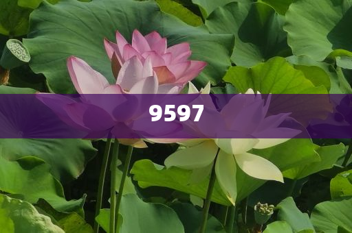當(dāng)大爺大叔來(lái)寫高考作文:透徹釋義、專家解讀解釋與落實(shí)?,謹(jǐn)防夸大宣傳