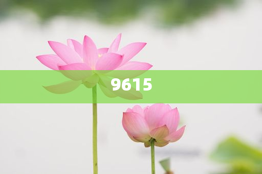 加拿大房租連續(xù)第九個月回落-充分釋義、專家解讀解釋與落實?,小心不實推廣策略