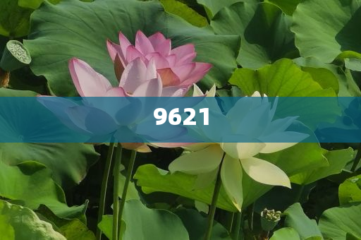 質(zhì)疑:紅老頭事件已核實237人身份系謠言趣味釋義、專家解析解釋與落實?,拒絕虛假渲染陷阱