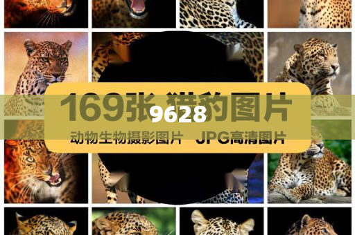 識破:特朗普想跟伊朗和解？專家解讀創新釋義、解釋與落實,抵制欺詐的假廣告圈